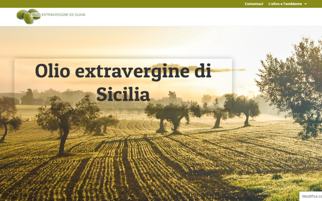Vendita olio extravergine di oliva